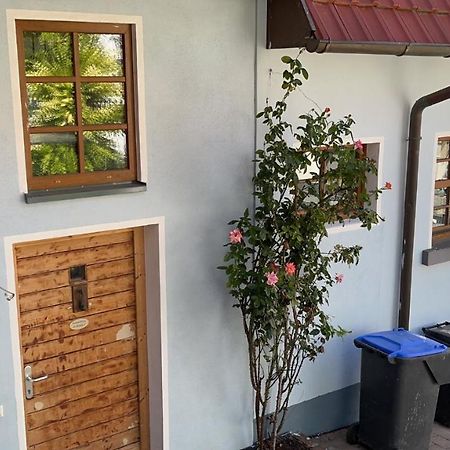 Ferienwohnung Im Bueckle Gottenheim 外观 照片